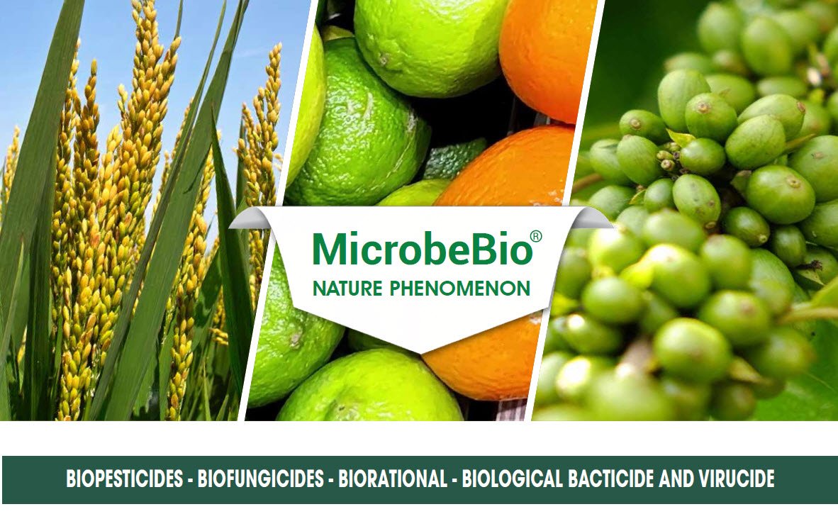 BIOPESTICIDES-BIOFUNGICIDES-BIORATIONAL-BIOLOGICAL-BACTICIDE-AND-VIRUCIDE